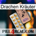Drachen Kräuter 41